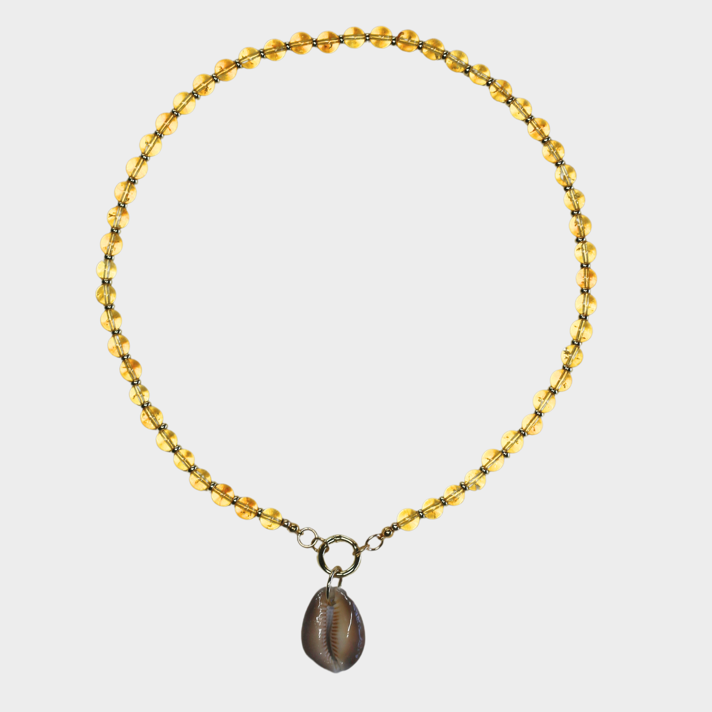 Cosmic Cowrie