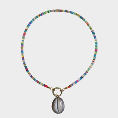 Cosmic Cowrie