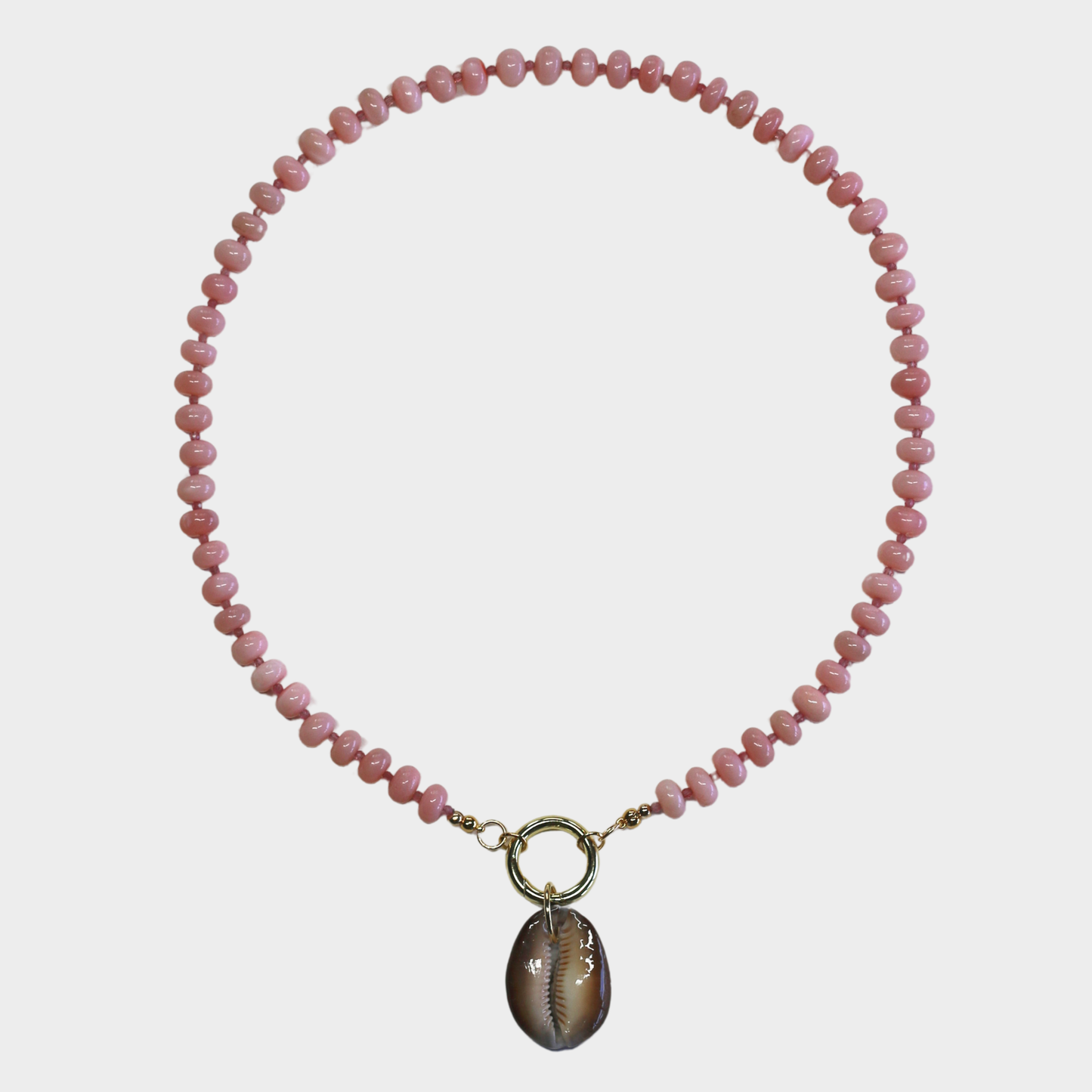 Cosmic Cowrie
