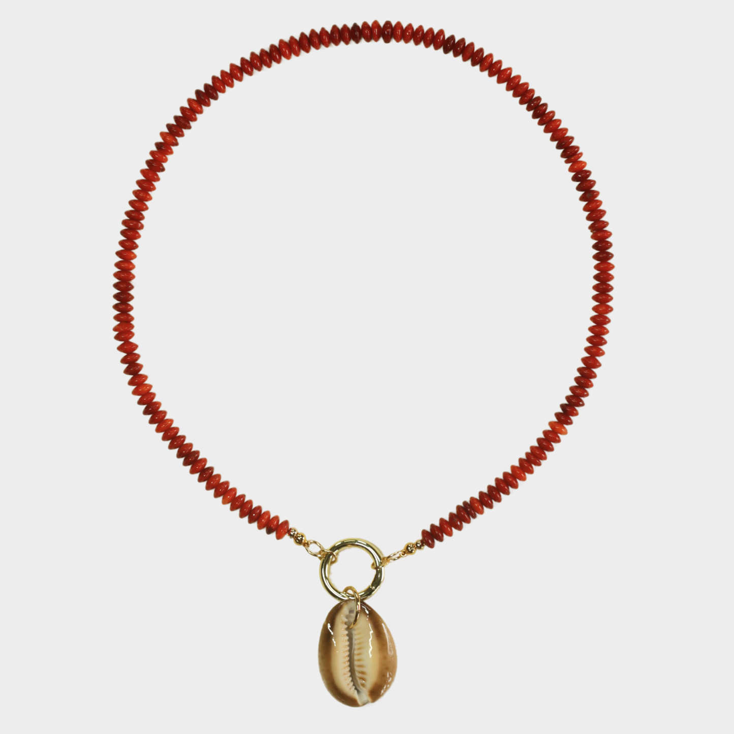 Cosmic Cowrie
