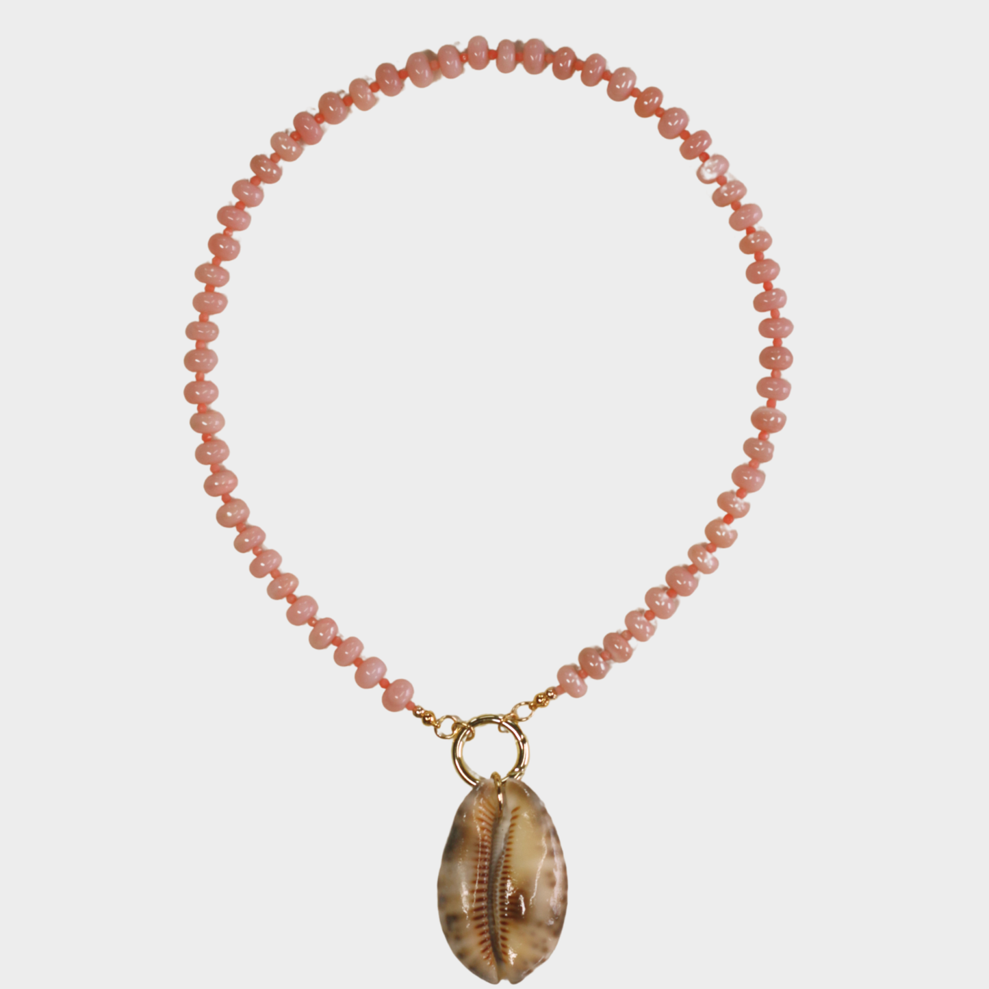 Cosmic Cowrie